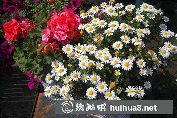 2018新疆高考有變化嗎
