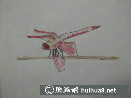 簡筆畫教程