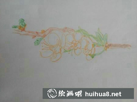 簡筆畫教程