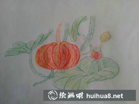 彩鉛畫教程