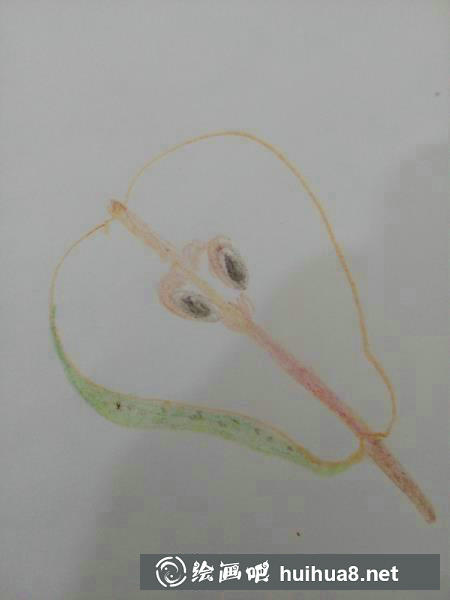 彩鉛畫(huà)教程