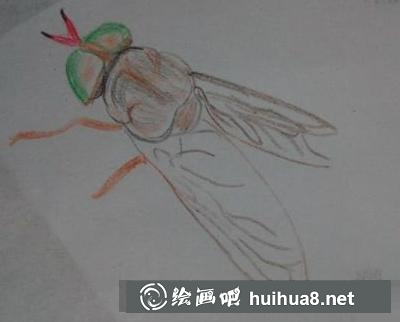 蒼蠅的畫(huà)法