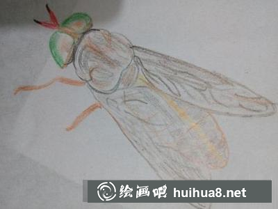 蒼蠅的畫(huà)法