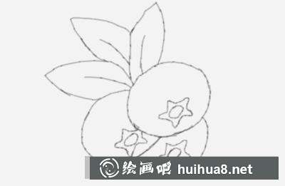 柿子的畫法 柿子的畫法