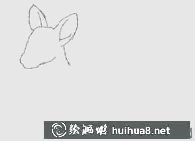 小熊貓的畫法