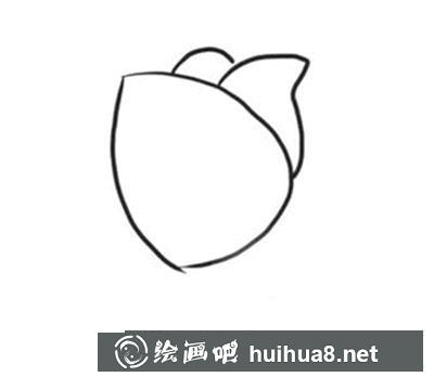 簡筆畫教程怎么畫郁金香