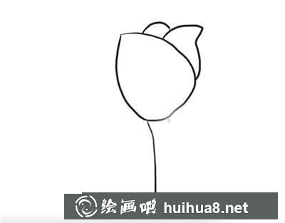 簡筆畫教程怎么畫郁金香