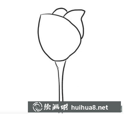 簡筆畫教程怎么畫郁金香