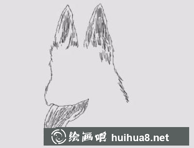 職業(yè)犬的畫法