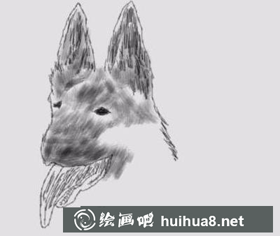 職業(yè)犬的畫法