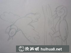 兒童畫教程啄木鳥繪制方法