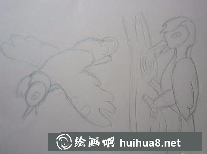 啄木鳥的畫法