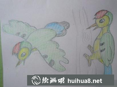 啄木鳥的畫法