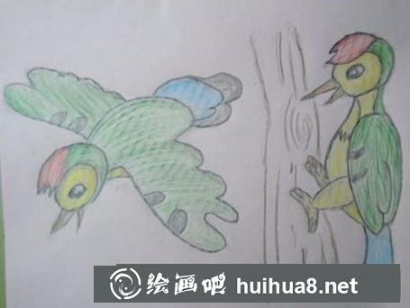 啄木鳥的畫法