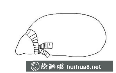 冬天戴圍巾的熊的畫法