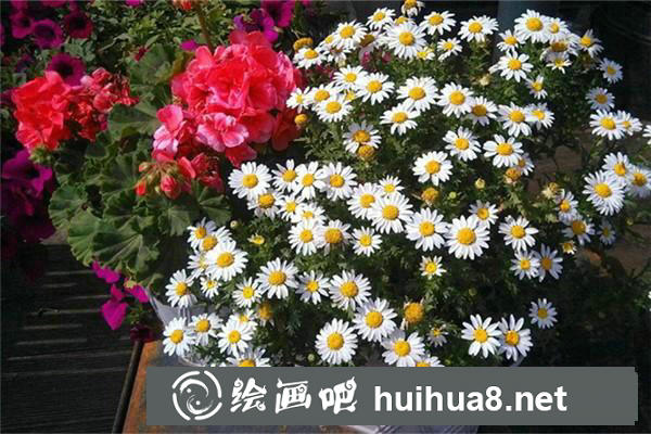 海南大學美術校考考題