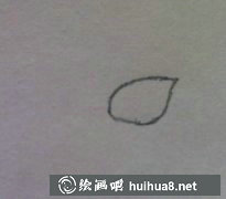 簡(jiǎn)筆畫(huà)教程馬蹄蓮繪制法