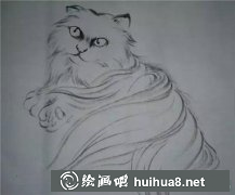 國畫貓畫法教程