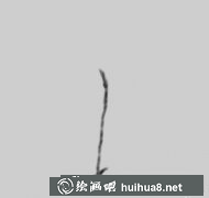 國畫教程仙鶴繪制攻略