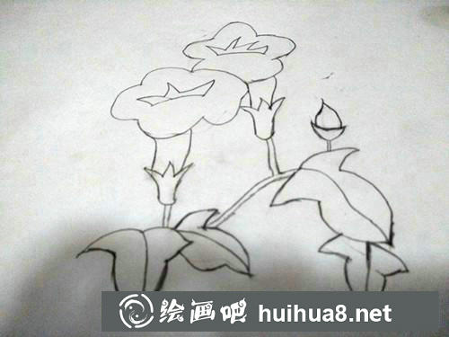 簡筆畫教程 簡筆畫教程