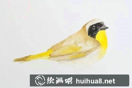 黃鸝水粉畫