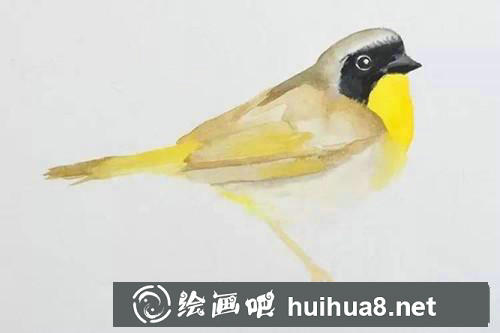 黃鸝水粉畫