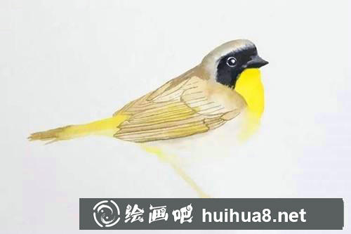 黃鸝水粉畫