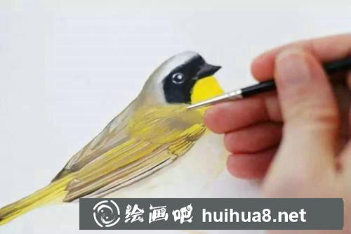 黃鸝水粉畫