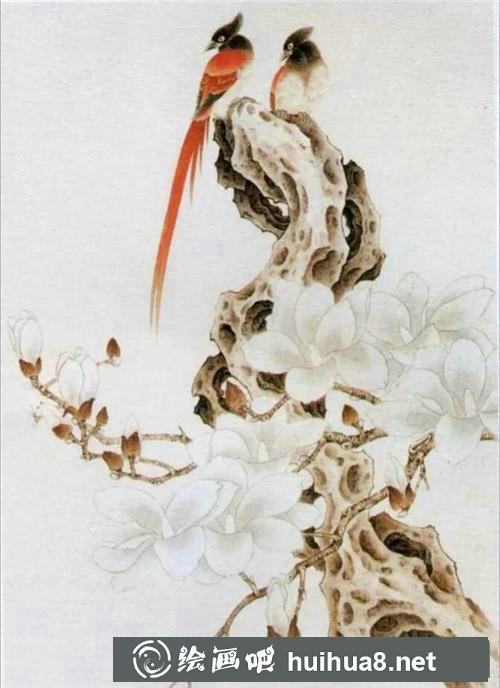 壽帶鳥工筆畫