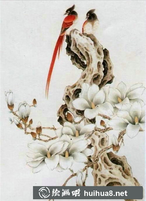 壽帶鳥工筆畫