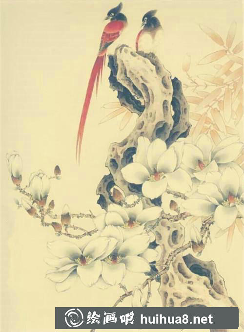 壽帶鳥工筆畫
