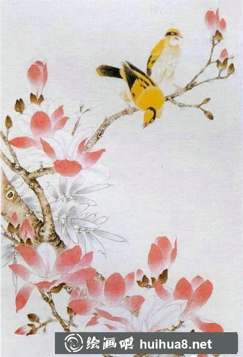 玉蘭花與黃鸝鳥工筆畫