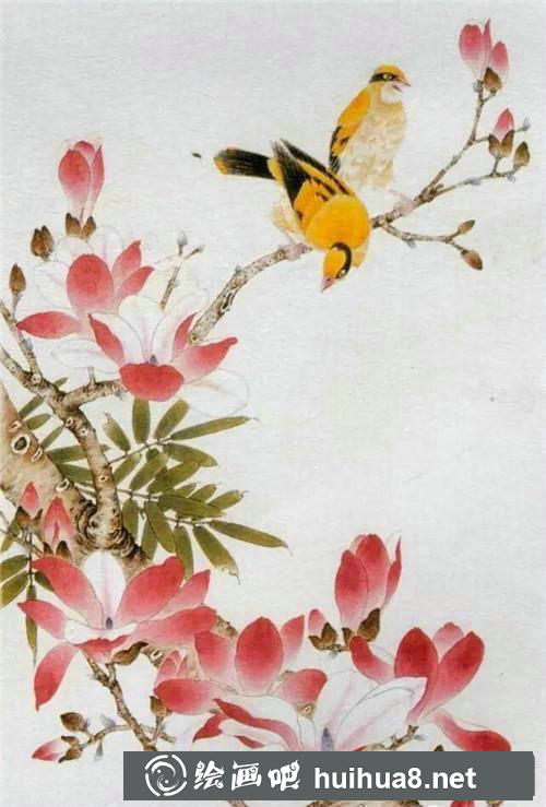 玉蘭花與黃鸝鳥工筆畫