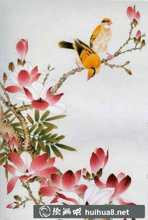 玉蘭花與黃鸝鳥工筆畫