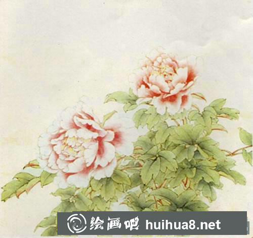 桃花花工筆畫(huà)