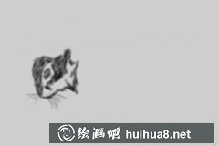 國畫教程松鼠繪畫教學(xué)
