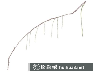 紫嫣花的畫(huà)法
