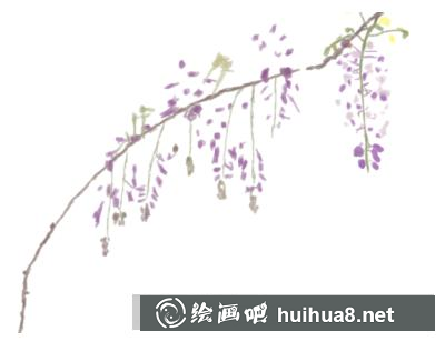紫嫣花的畫(huà)法