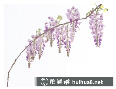 紫嫣花的畫(huà)法