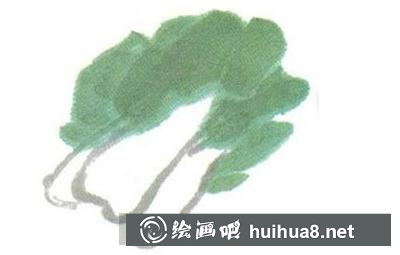 白菜的畫法
