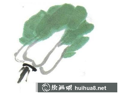 白菜的畫法