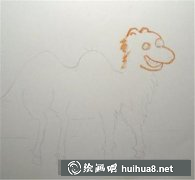 兒童畫教程可愛小駱駝