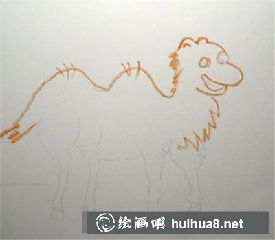 可愛(ài)的小駱駝