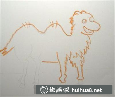 可愛(ài)的小駱駝