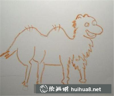 可愛(ài)的小駱駝