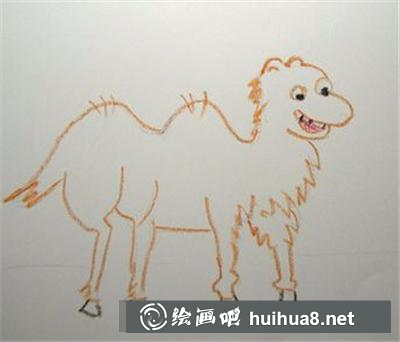 可愛(ài)的小駱駝