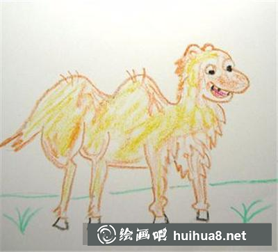 可愛(ài)的小駱駝