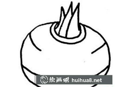 如何畫(huà)荸薺