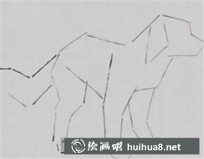如何畫(huà)短毛狗