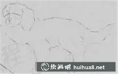 國畫教程：畫長毛狗技法全解